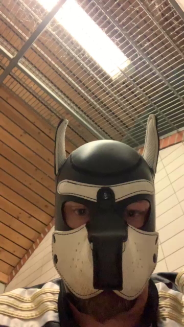 machobulle2  03-08-2021 Recorded Video Porn